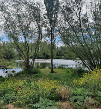 Parque Botánico
