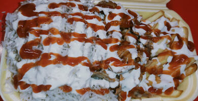 Comida Turca "Aayan Kebab"