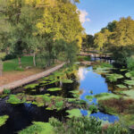 Parque Ansuiña