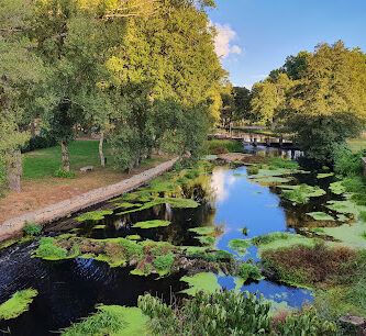 Parque Ansuiña