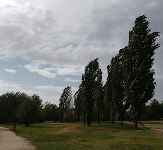 Parque de Huerta Otea