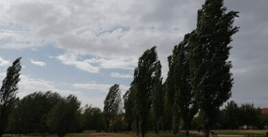 Parque de Huerta Otea